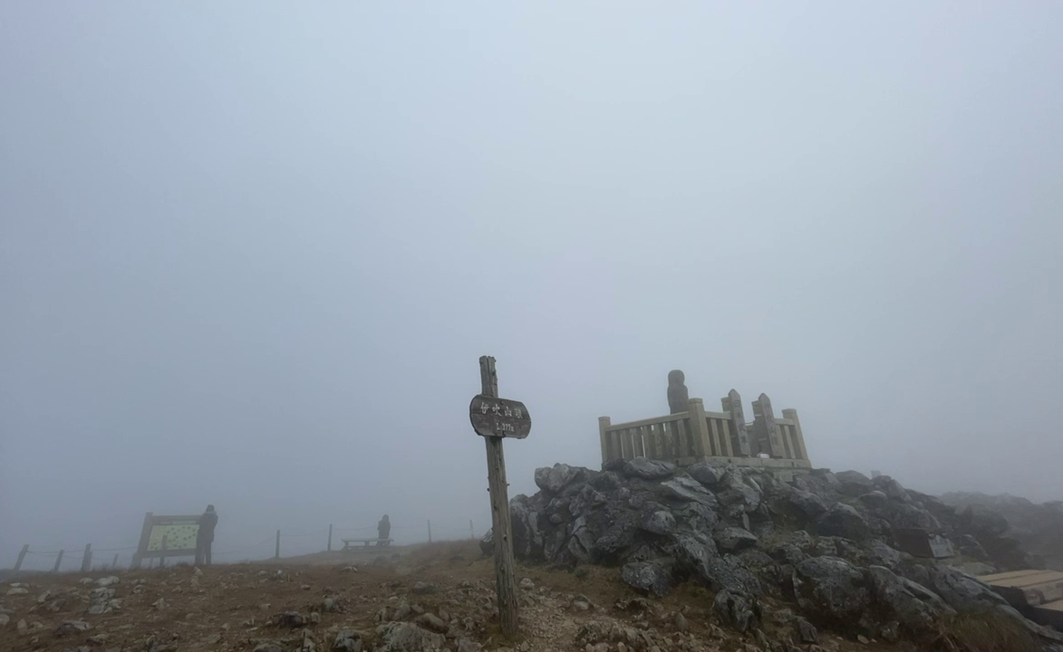 f:id:seeeeker:20201208220010p:plain