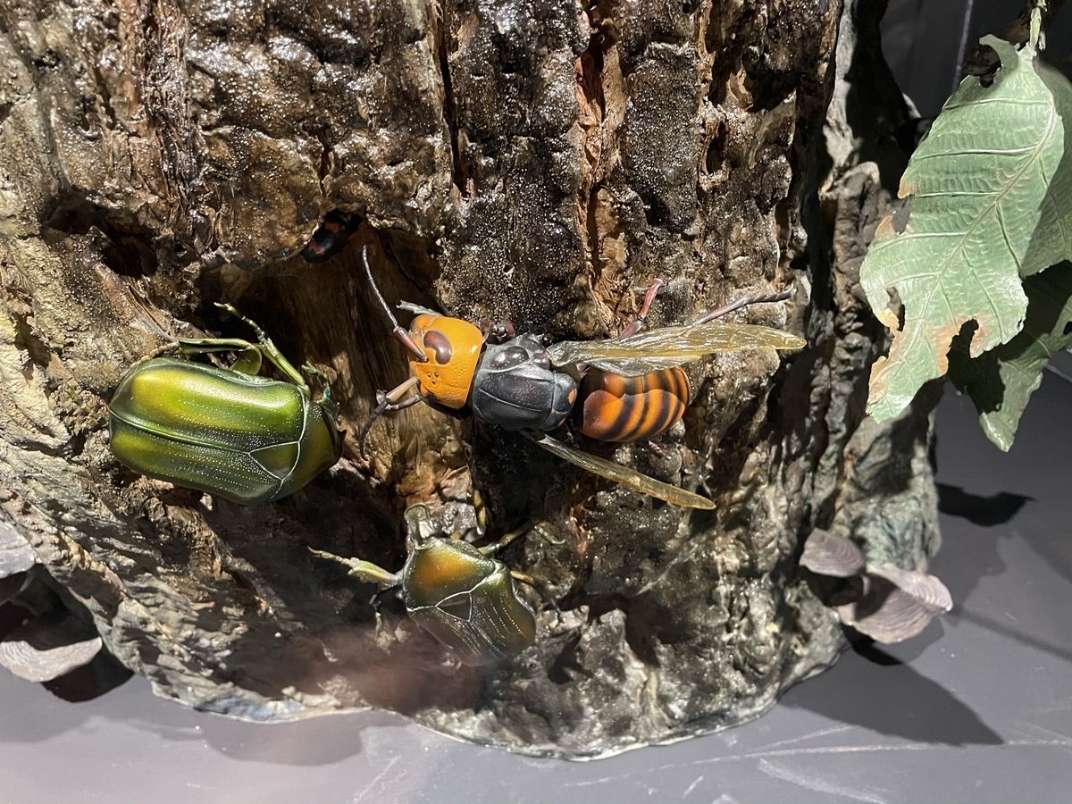 スズメバチのフィギュア