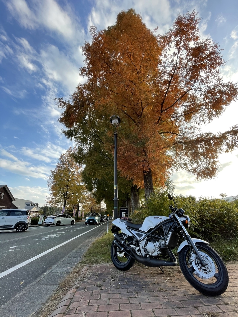 メタセコイア並木とR1-Z