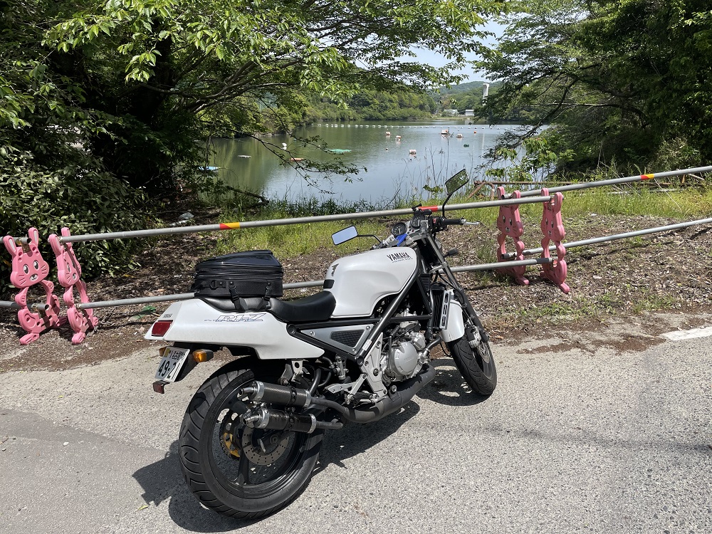 f:id:seeeeker:20210508190455j:plain