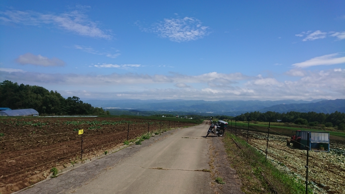 f:id:seeeeker:20210515001053j:plain