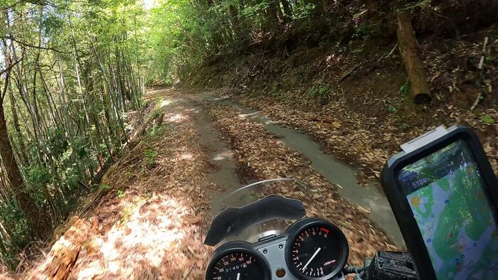 落ち葉や泥が堆積した舗装林道の様子。